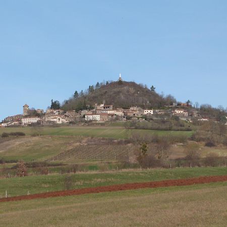 Chateau Des Aiguilles Saint-Rémy-de-Chargnat Kültér fotó