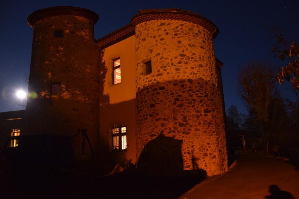 Chateau Des Aiguilles Saint-Rémy-de-Chargnat Kültér fotó