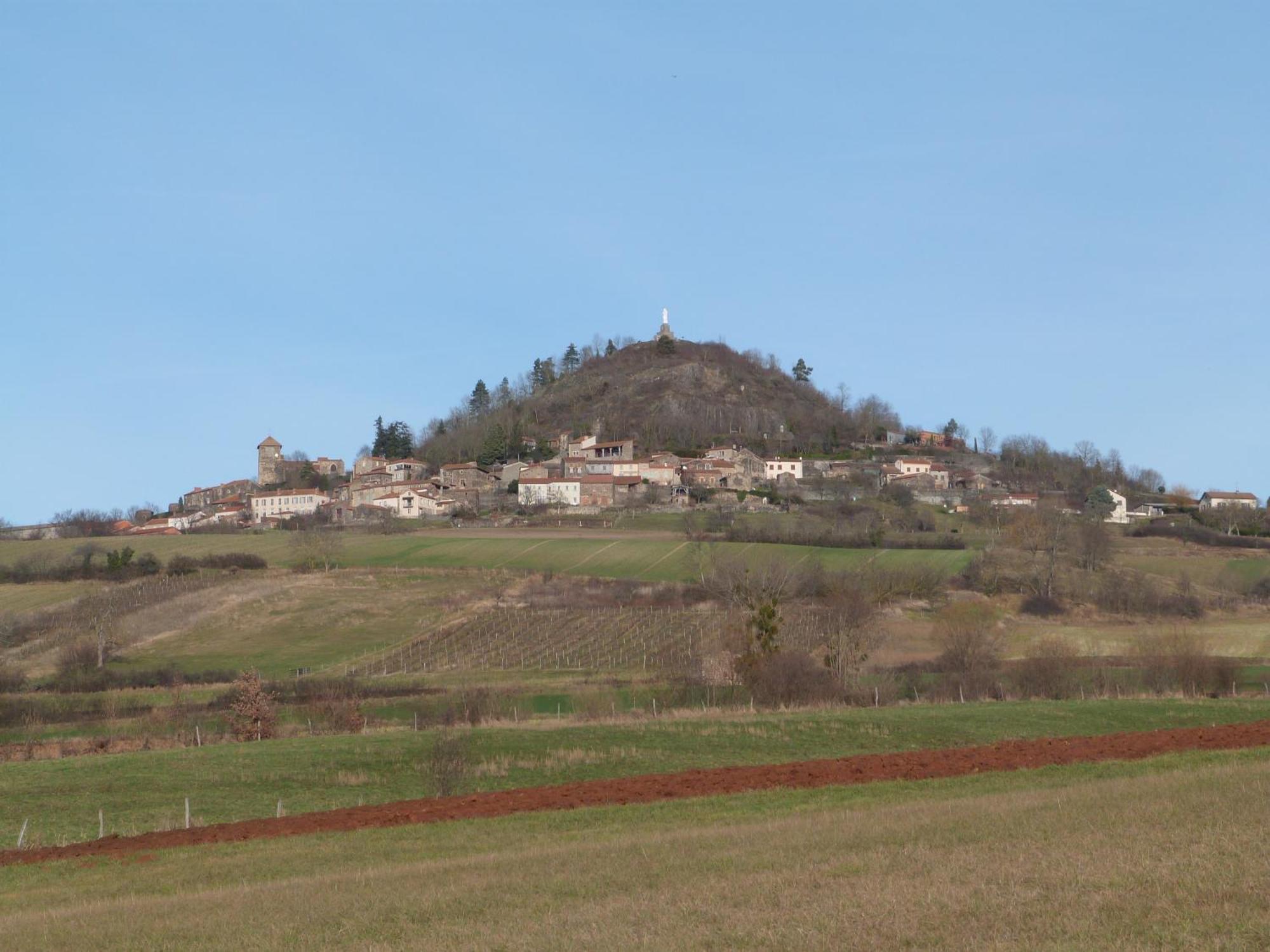 Chateau Des Aiguilles Saint-Rémy-de-Chargnat Kültér fotó