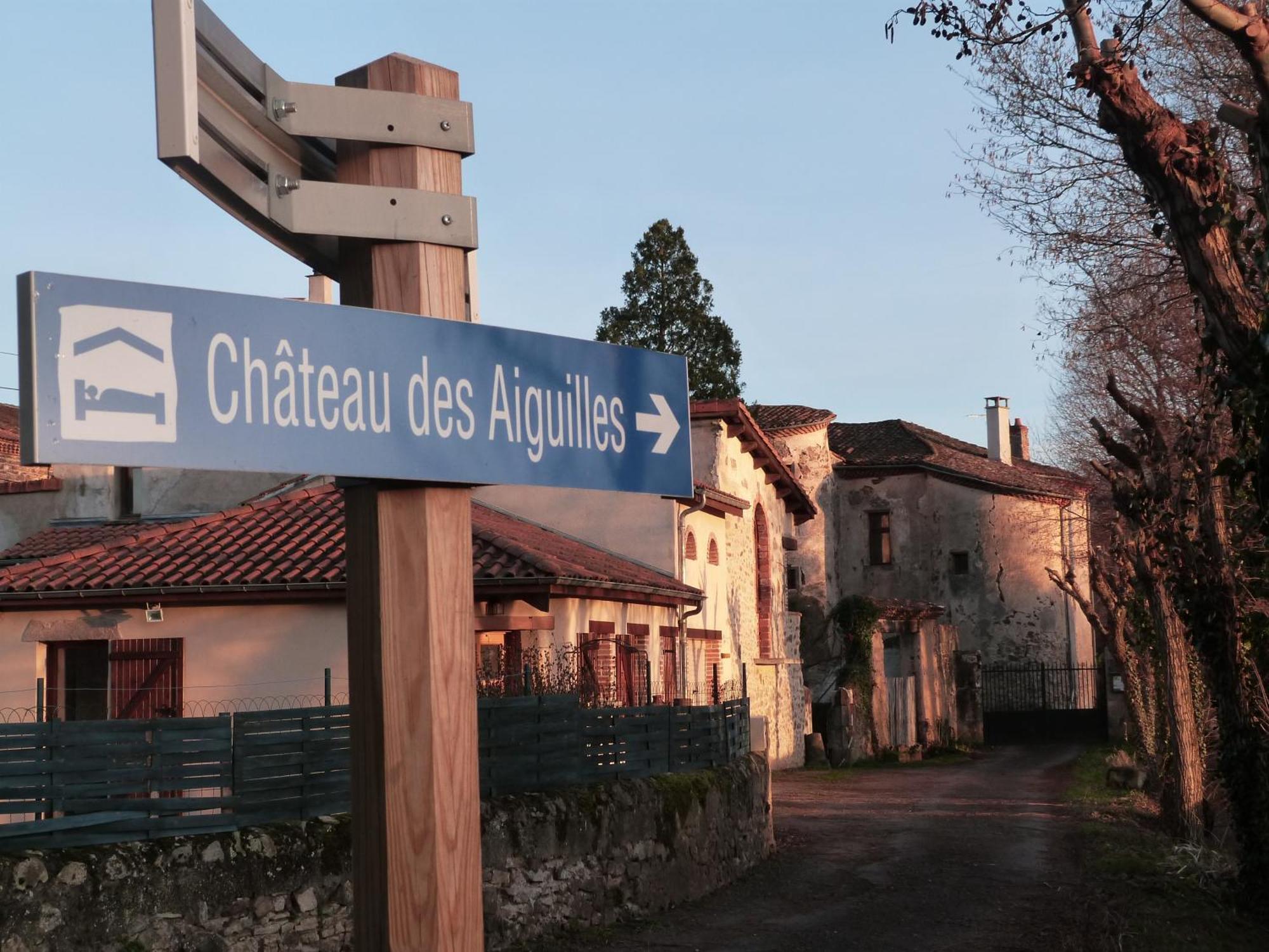 Chateau Des Aiguilles Saint-Rémy-de-Chargnat Kültér fotó