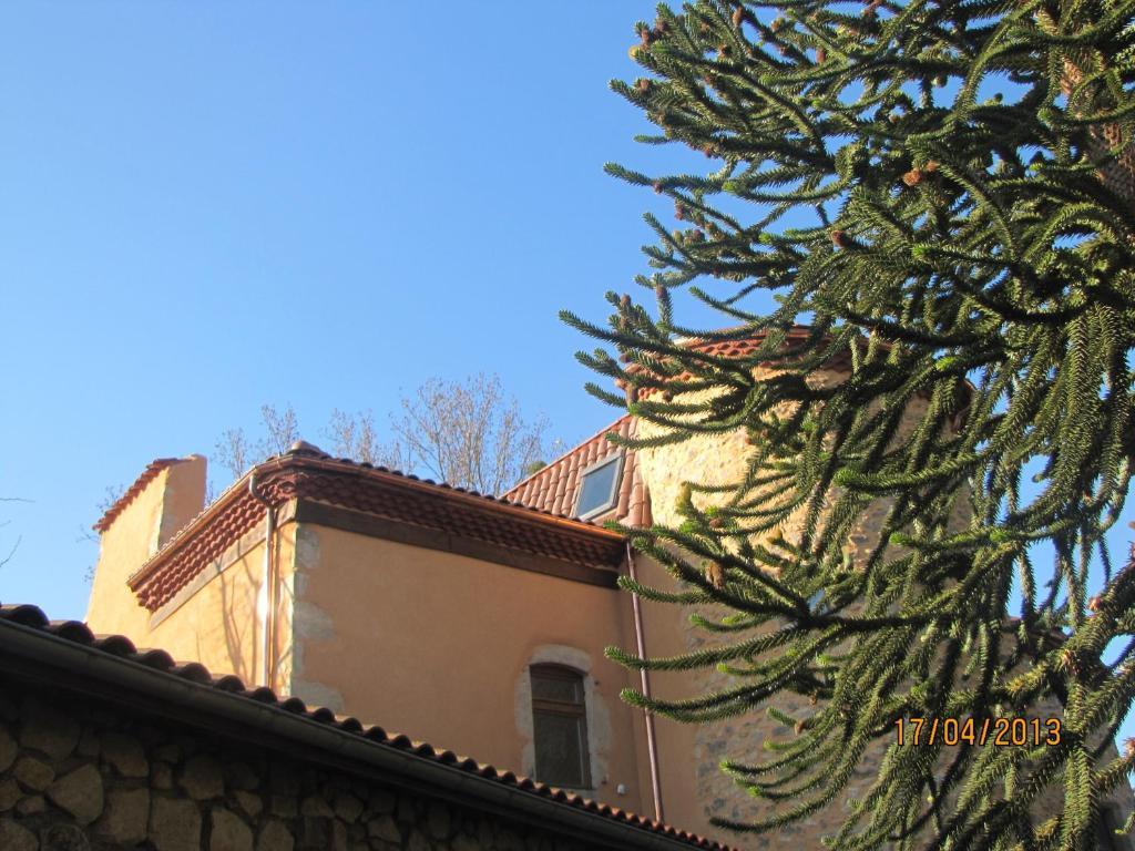 Chateau Des Aiguilles Saint-Rémy-de-Chargnat Kültér fotó